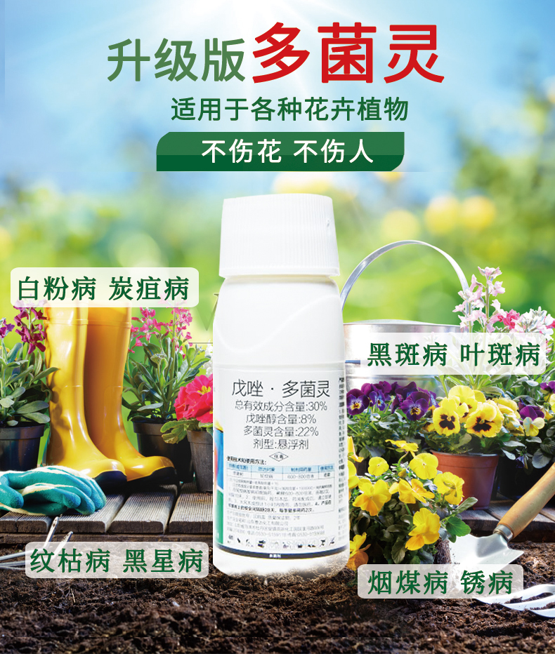 多菌灵花卉植物多菌炅剂农药月季黑斑白粉病多肉多菌菌灵花药多肉专用