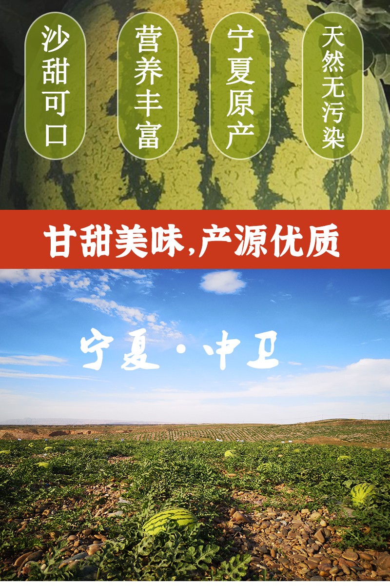宁夏硒砂西瓜新鲜大石头缝瓜 沙漠西瓜 15-18斤【图片 价格 品牌 报价