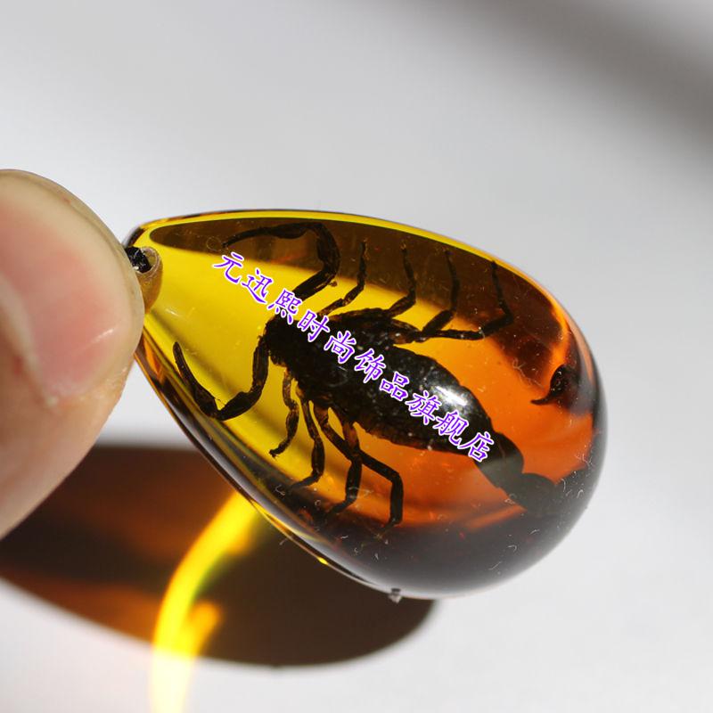 蝎子人工琥珀项链真昆虫标本吊坠创意装饰品生日节日礼物琥珀王吊坠