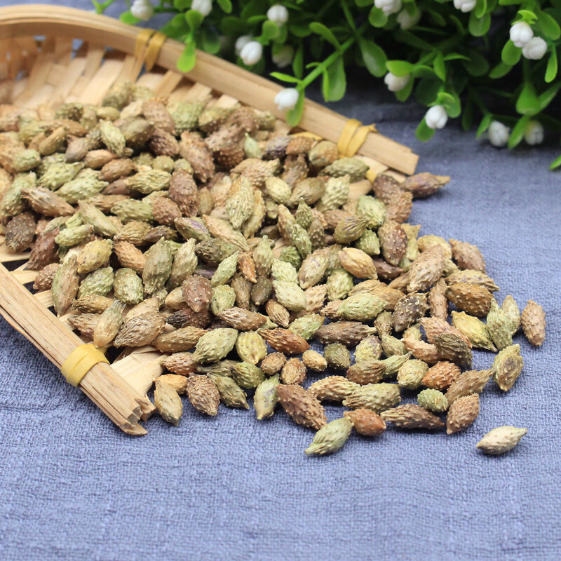 中药材苍耳子野生500克仓耳子泡茶可磨苍耳子粉苍耳老苍子【图片 价格