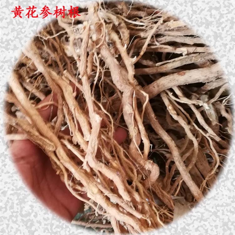 500g黃花參 觀音串樹根 黃花倒水蓮 倒吊黃 黃花遠志 觀音串