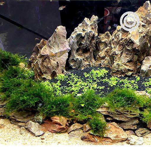 松皮石造景石头鱼缸天然装饰小块多孔假山水草缸成品骨架峡谷套餐切底