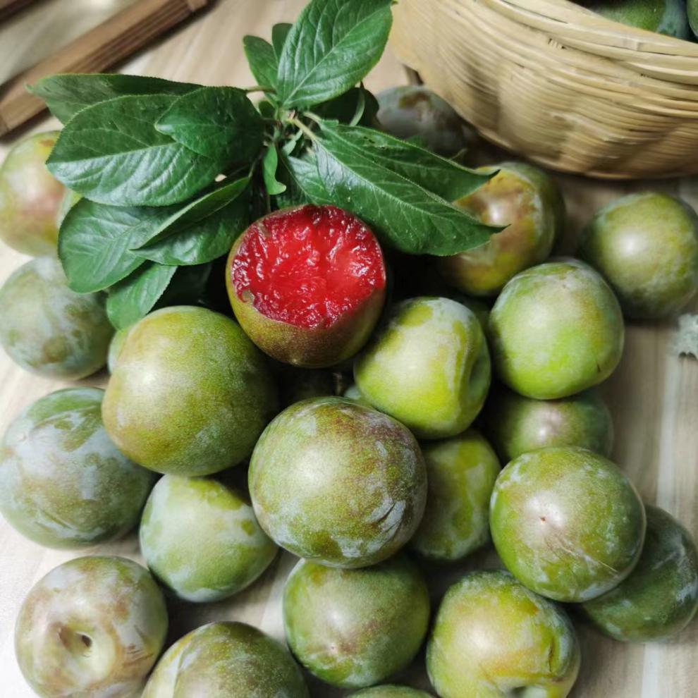 玫栀 河南灵宝味帝李子自家果园新鲜采摘鸡血李 3斤【图片 价格 品牌