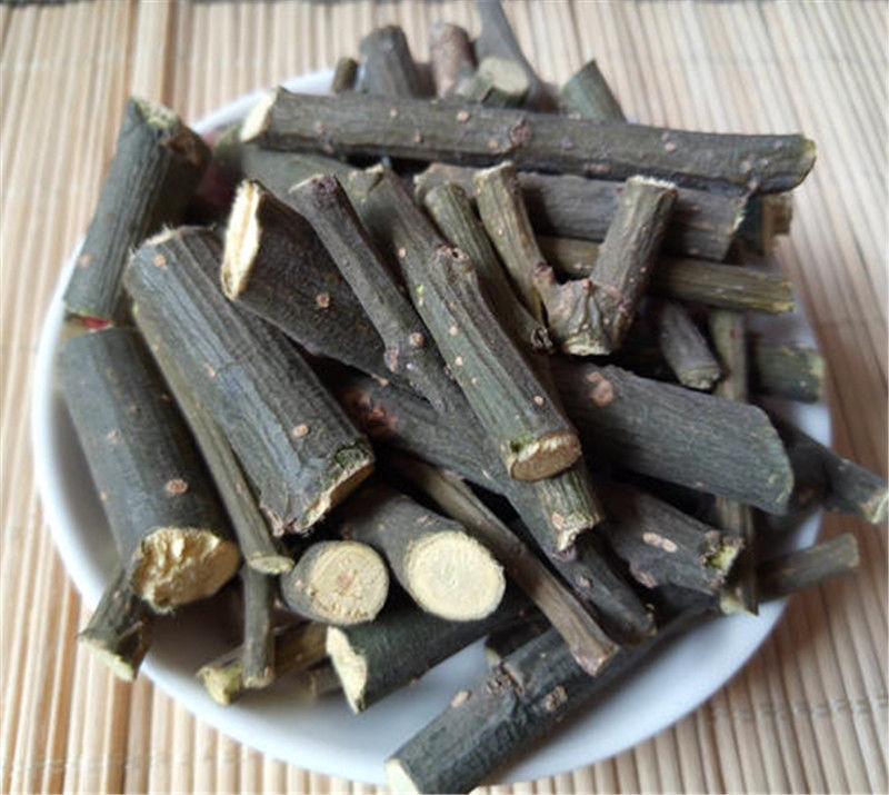 新鲜槐树枝槐枝国槐枝叶五枝汤原料槐树叶子槐叶槐花槐米槐角内廷上用