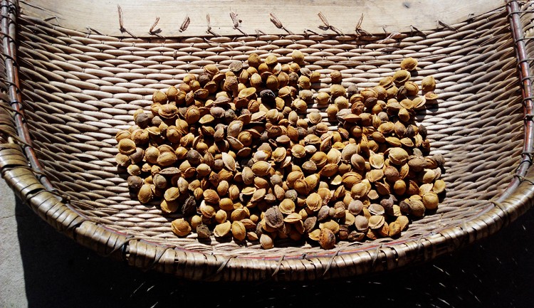 河曲特产杏瓣 坚果零食炒大杏仁 礼品炒杏仁 五香口味2斤真空包装