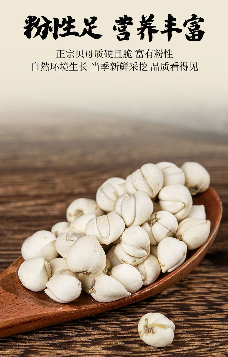 特级小川贝母四川中药材泡茶川贝粉纯野生浙贝母松贝配枇杷膏冰糖