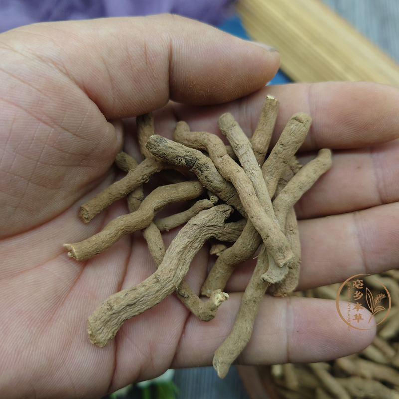北京同仁堂野生青木香正宗云南青木香马兜铃根土青木香