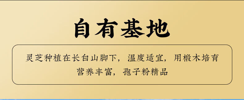 075d99c6d178755f.jpg