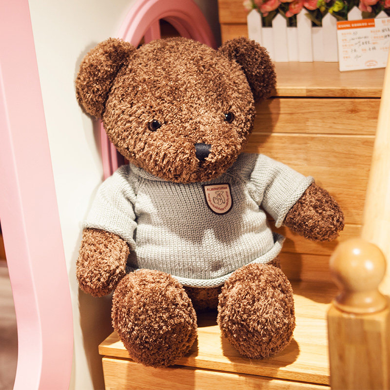 新品网红情人节礼物布娃娃熊熊毛绒玩具熊洋娃娃女生抱抱熊玩偶熊狗熊
