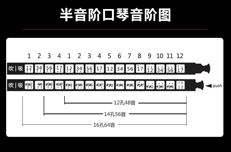 京选推荐东方鼎先行者成人12孔无膜半音阶口琴学生演奏初学儿童入门