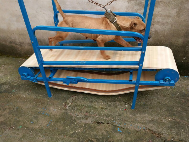 宠物土猎马犬斗狗比特犬跑步机斗狗格力灵提锻炼耐力装备训练器材sn
