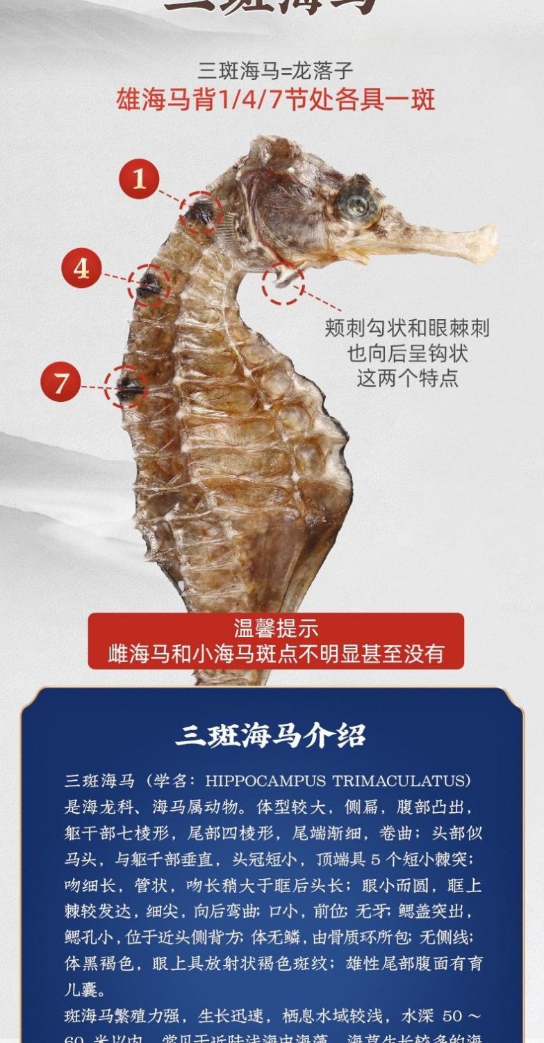 北京同仁堂原料海马药材干货 三斑海马公母配对一对 干海马男性泡酒