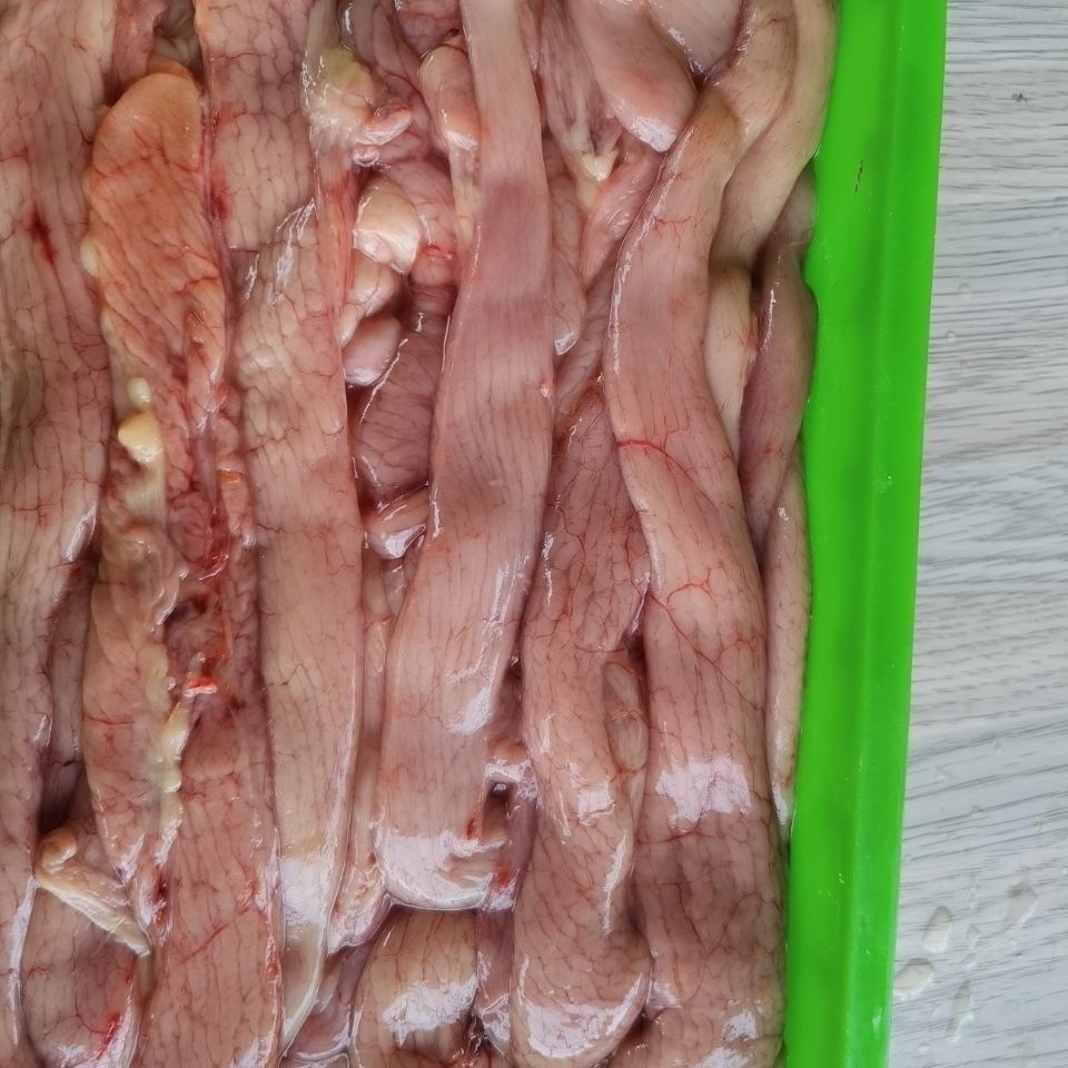 新鲜速冻老母鸡生鸡蛋黄五斤蛋肠鸡蛋肠饭店食堂自家吃 蛋黄 1包5斤