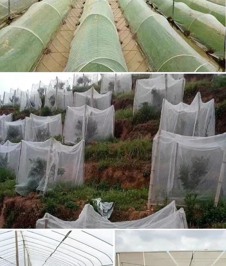 防虫网罩蔬菜大棚专用养猪场养殖防蚊网蝇果树园家庭院樱桃水果树40目