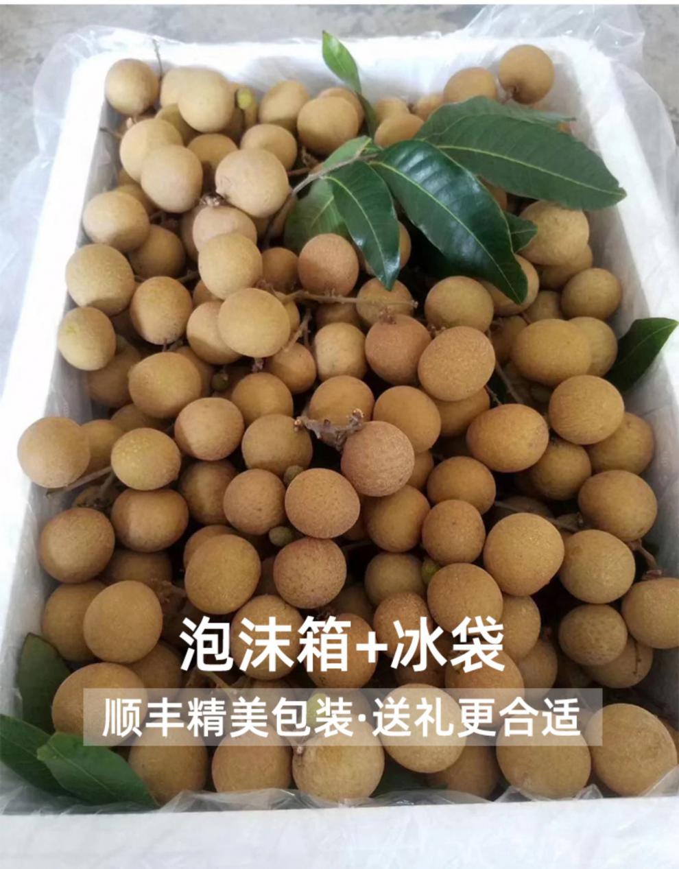 沐小七【储良龙眼/石硖龙眼】新鲜水果桂圆现摘大果3-10斤客户送礼应