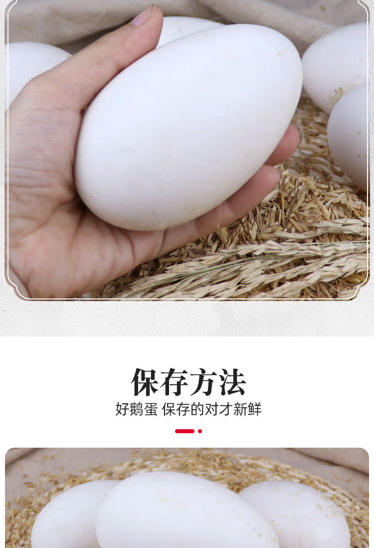 狮头鹅蛋大鹅蛋超大枚农家散养鹅蛋新鲜破损包赔量腹而食 2枚 120