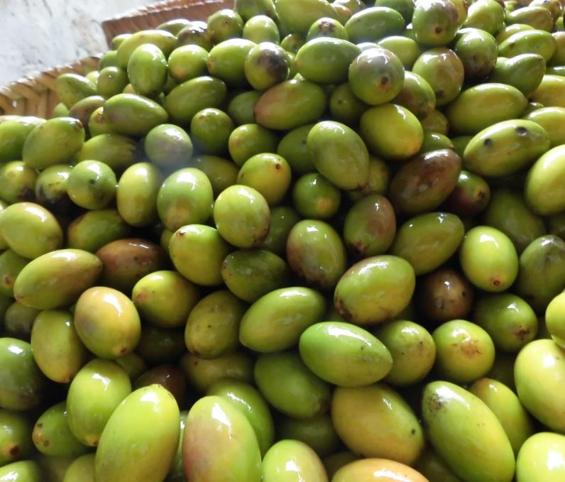 潮汕特产南姜橄榄散橄榄糁孕妇零食农家自制1份1斤瓶装甘草橄榄非南姜