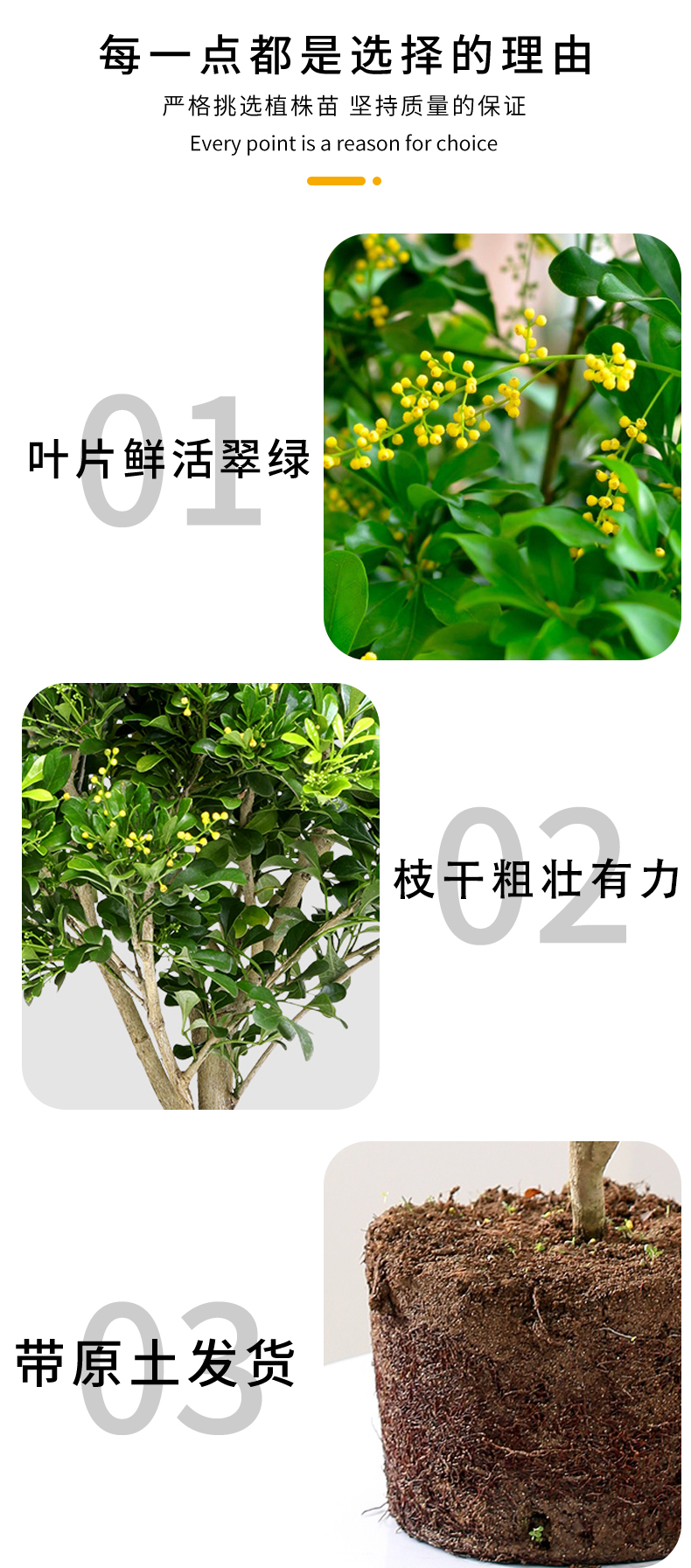 3f2d962f18593e1f.jpg