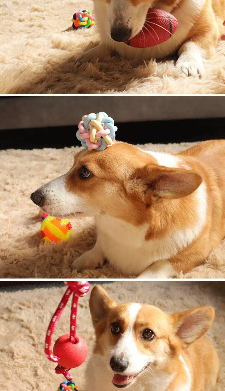 猫咪球球玩具 狗狗猫咪铃铛球球发声七彩球宠物泰迪幼犬小狗耐咬磨牙