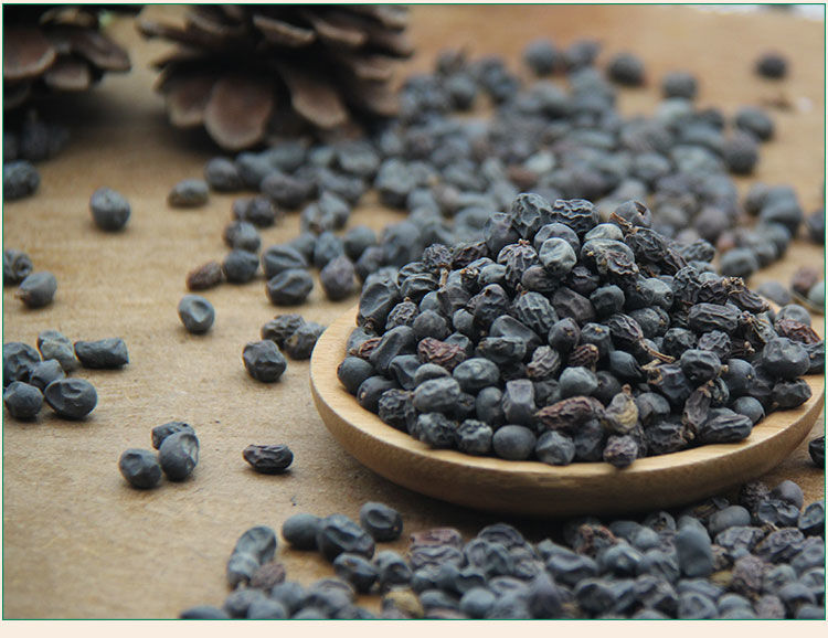 女贞子中药材冬青籽旱莲草泡茶泡酒炖鸡煲汤男人爆格蚤精选女贞子500g