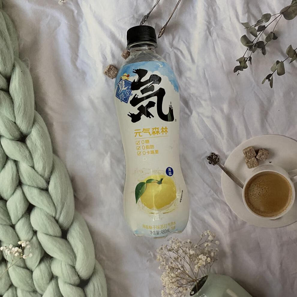 【京品优选】元气森林气泡水480ml海盐椰子柚子菠萝冬日草莓樱花白