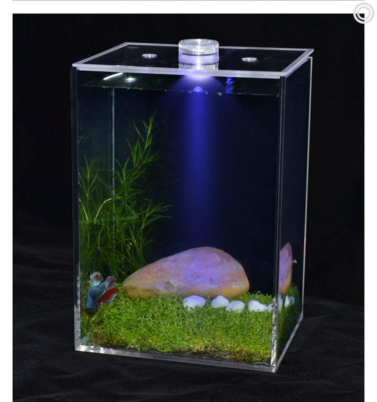 亚克力迷你桌面斗鱼鱼缸客厅小型办公桌创意懒人生态小鱼缸造景 10*10