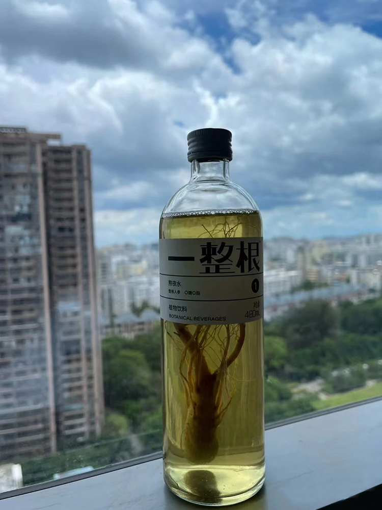 网红一整根人参水熬夜水植物饮料罗森新品硬核研究所同款同款6瓶 人参