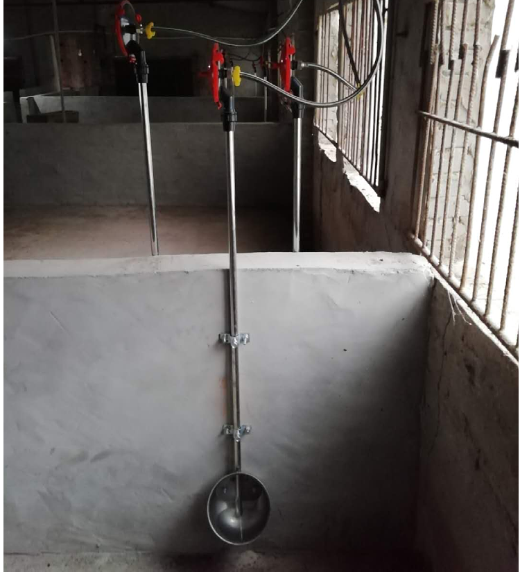 猪自动饮水器设备猪饮水器猪水位控制器牛养猪用饮水盆养殖设备十字卡