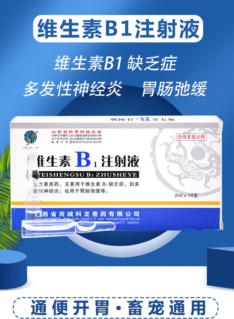 维生素b1注射用液vb针剂猫狗神经炎心肌炎消化不良胃肠迟缓2ml10