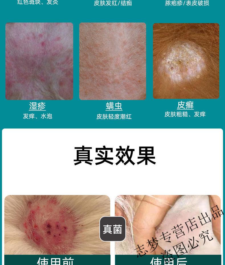 狗狗真菌皮肤病喷剂猫癣狗癣外用药猫藓黑下巴宠物螨虫感染喷雾 宠菌