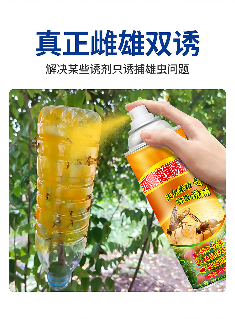 刚诱粘剂得刚瓜果实蝇诱粘剂果园杀昆虫器粘胶板柑橘果蝇药针蜂引诱剂