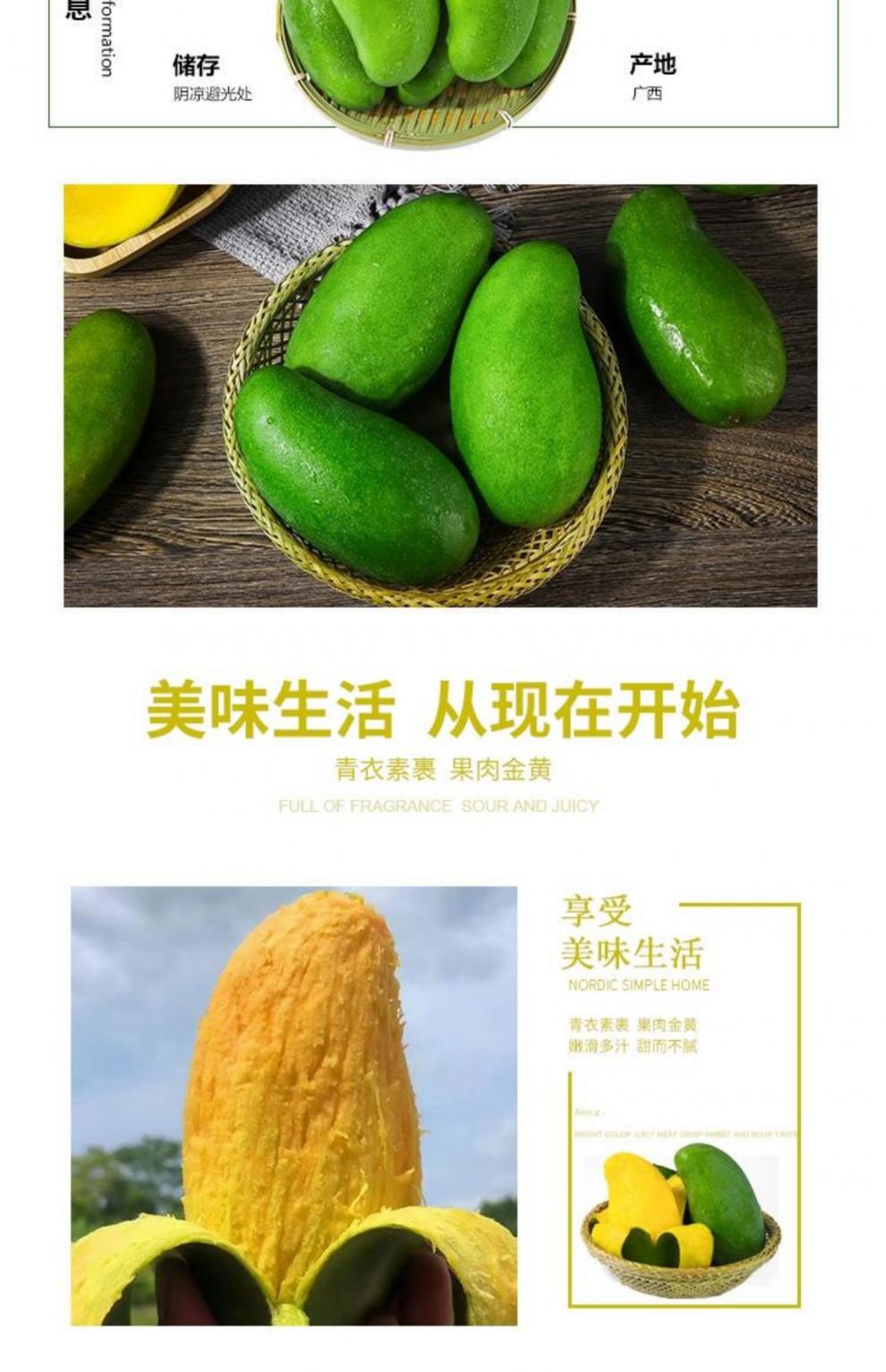 桂七芒果宣传广告图片