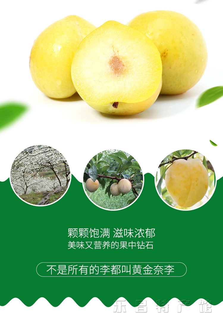 广东正宗韶关乐昌九峰山黄金奈李10斤大果新鲜应当季时令孕妇水果脆甜