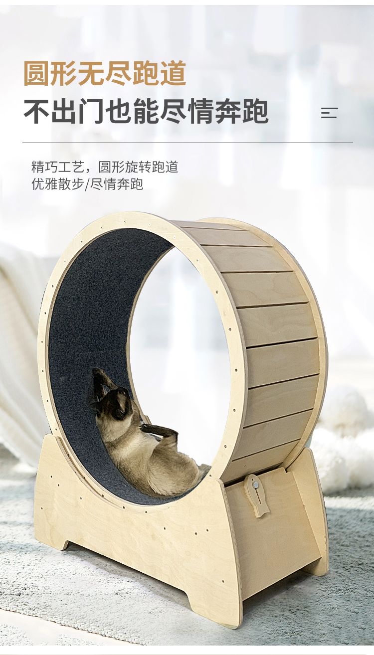 【当天发货】【猫跑轮|猫咪跑步机宠物】宠物猫咪专用运动器猫咪玩具