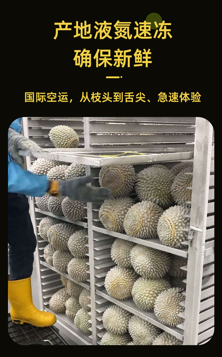 顺丰直达马榴香猫山王榴莲d197马来西亚整果液氮冷冻带壳新鲜水果顺丰