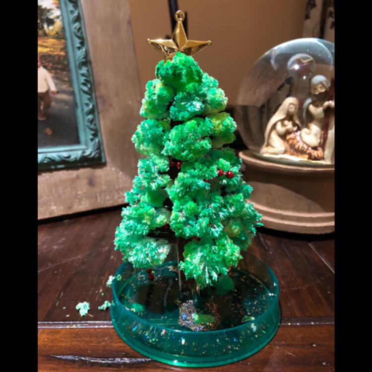 魔法水晶树 儿童魔法成长水晶圣诞树diy材料包神奇纸树浇水生长开花