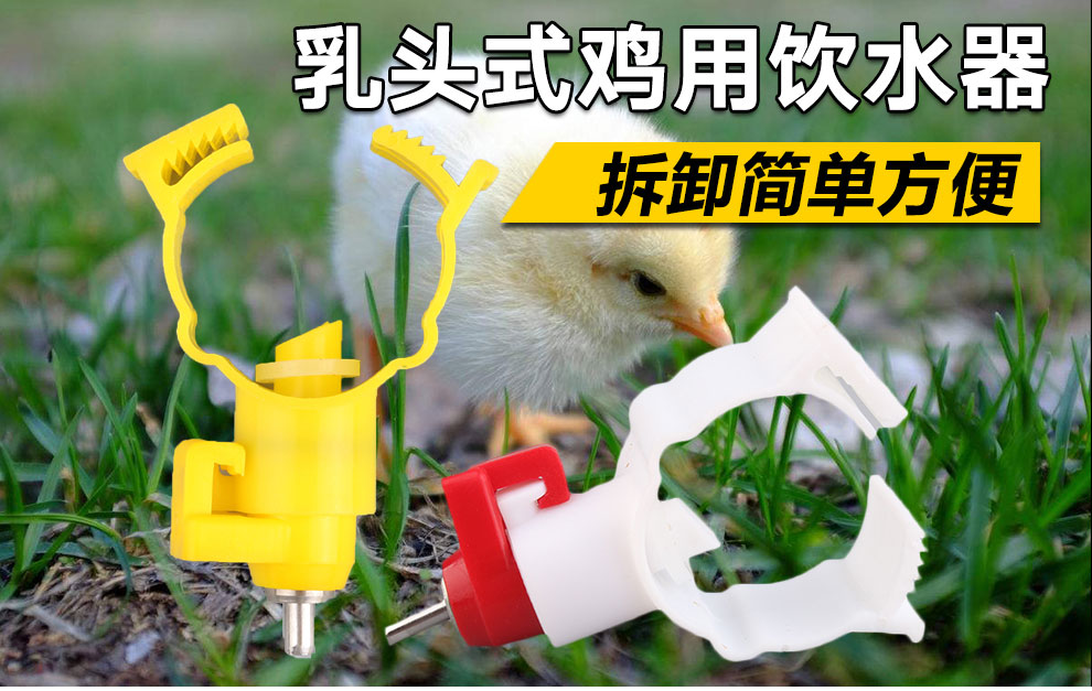 京东云仓发货 鸡用饮水器 鸡用乳头饮水器 鸡用球阀式饮水器 小鸡自动