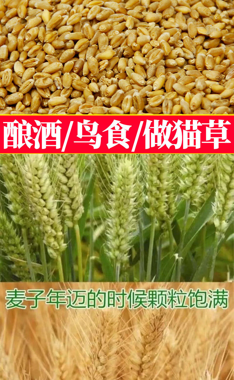 99dbce2a05b261d0.jpg