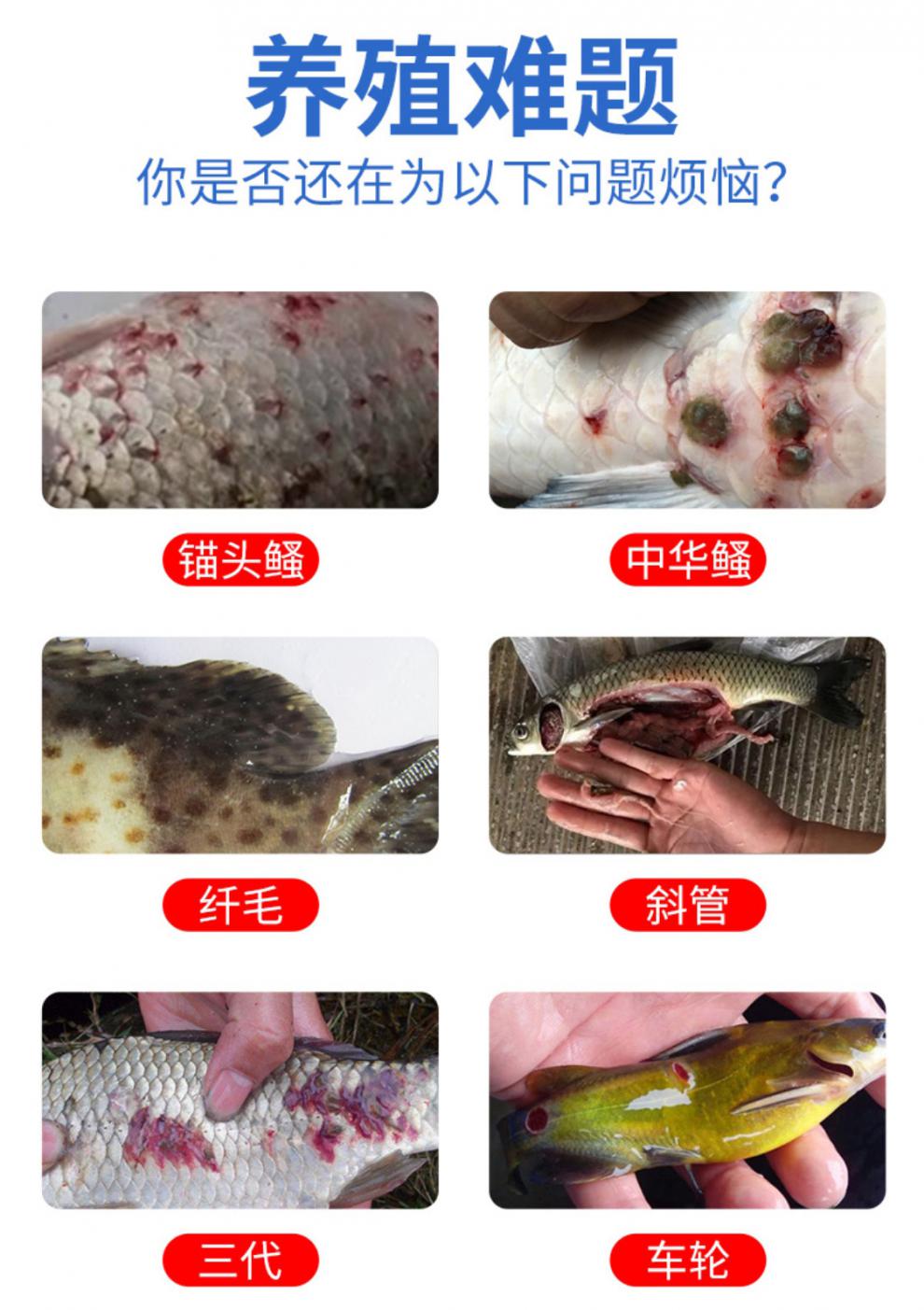 錨頭鰠專用藥錨頭蚤剋星魚藥魚塘寄生蟲水產養殖魚塘魚池寄生蟲病 1瓶