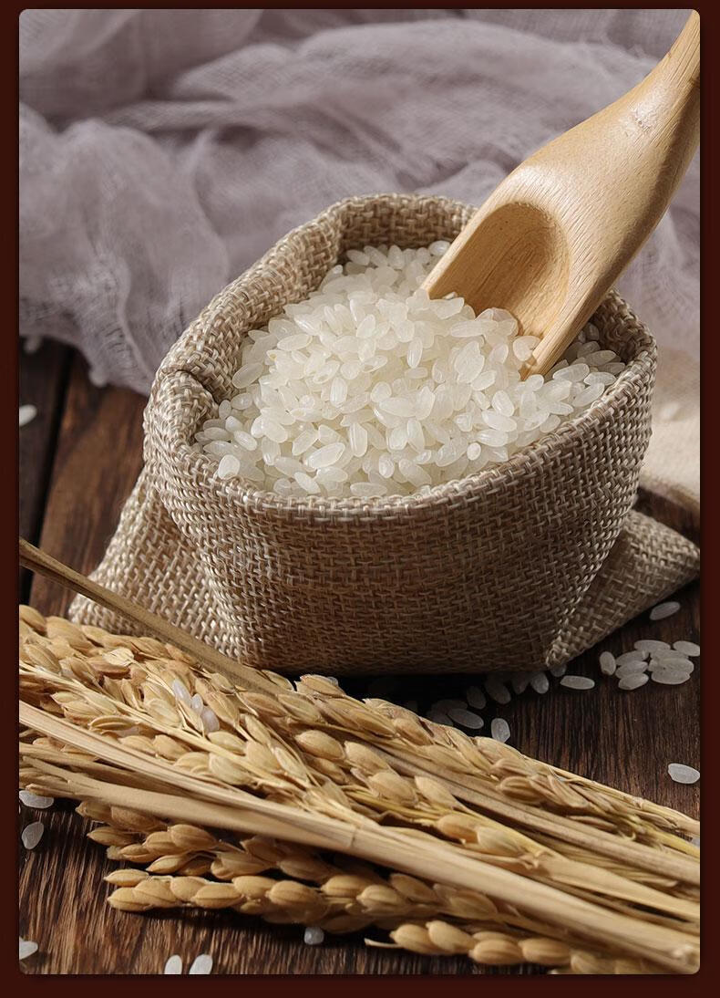 内蒙古草原贡米10斤装真空袋装粳米稻花香新米长粒香米 10斤/1袋*1袋