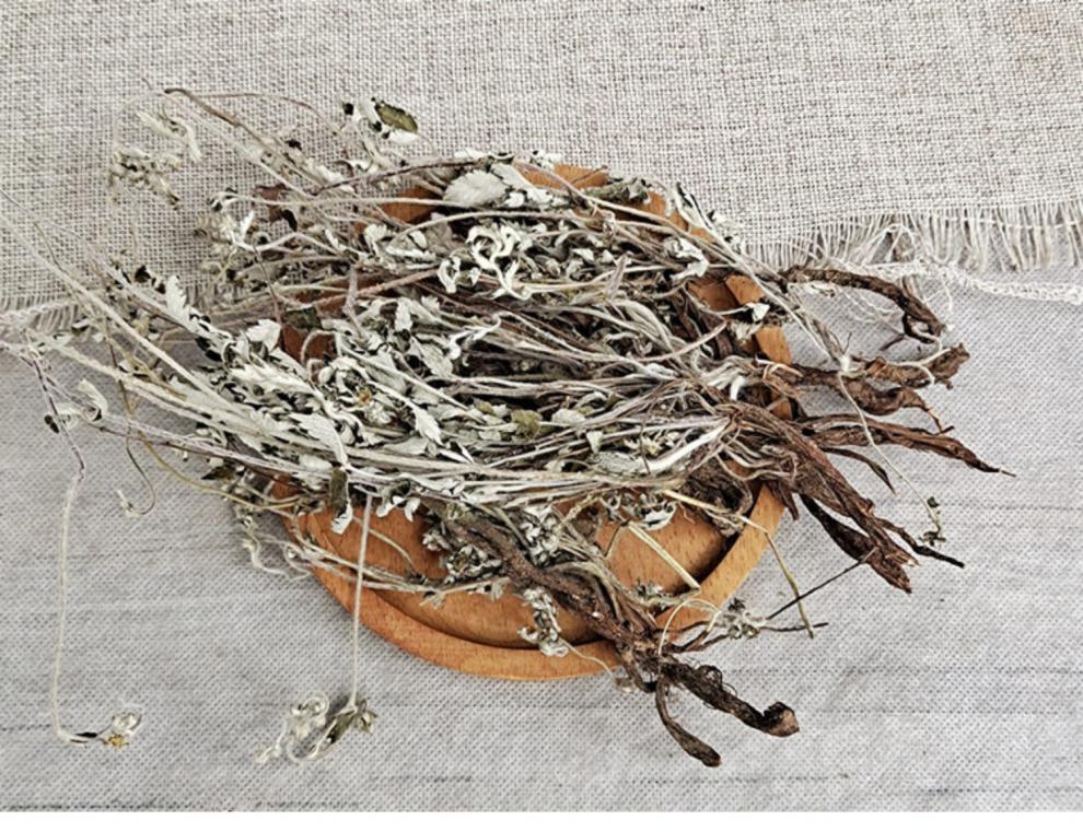 整棵翻白草500g中药材带根生野翻白草茶中草药另售地骨皮 绞股蓝