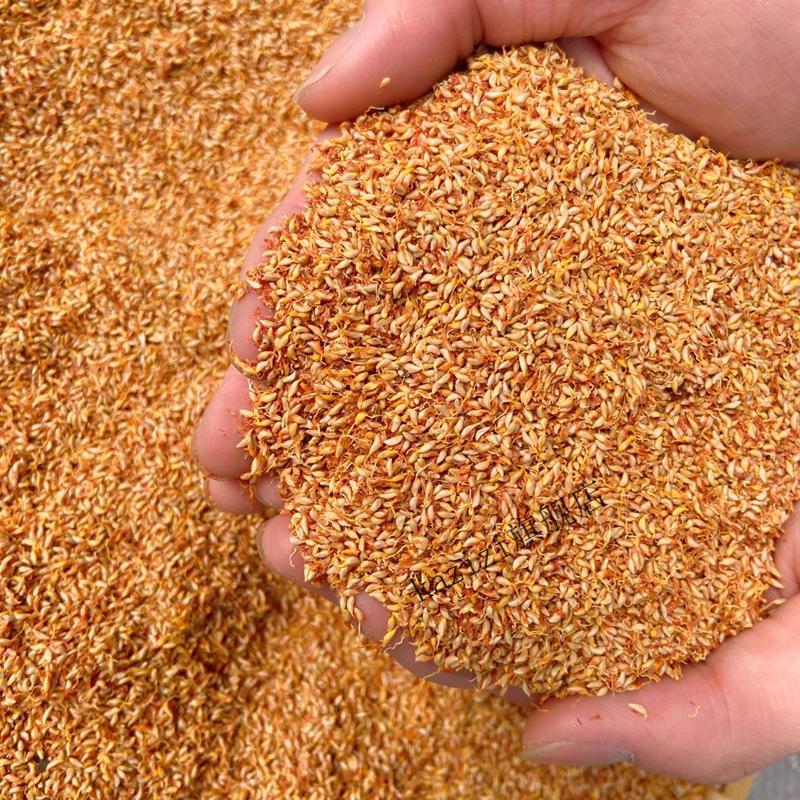 贵州特产野生冰粉籽25g*10袋手搓薜荔籽免石灰清凉小吃凉粉爱玉籽