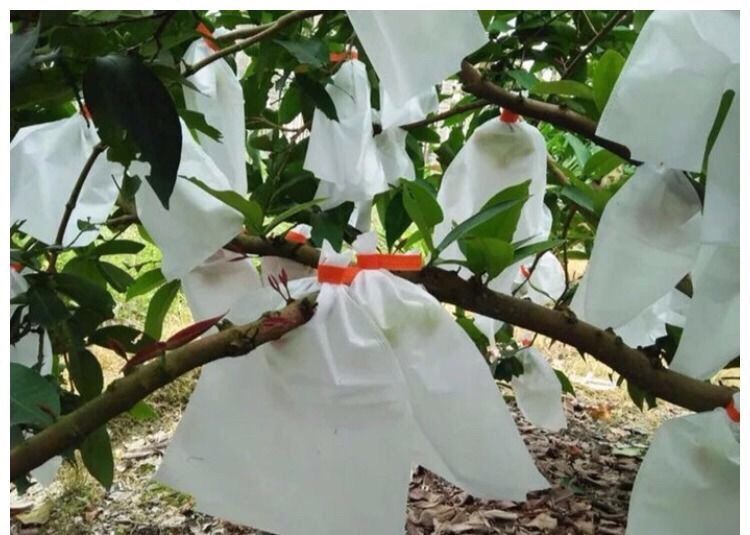 【100个】无纺布葡萄套袋专用袋苹果套袋桃子水果套袋防鸟防虫袋 30.