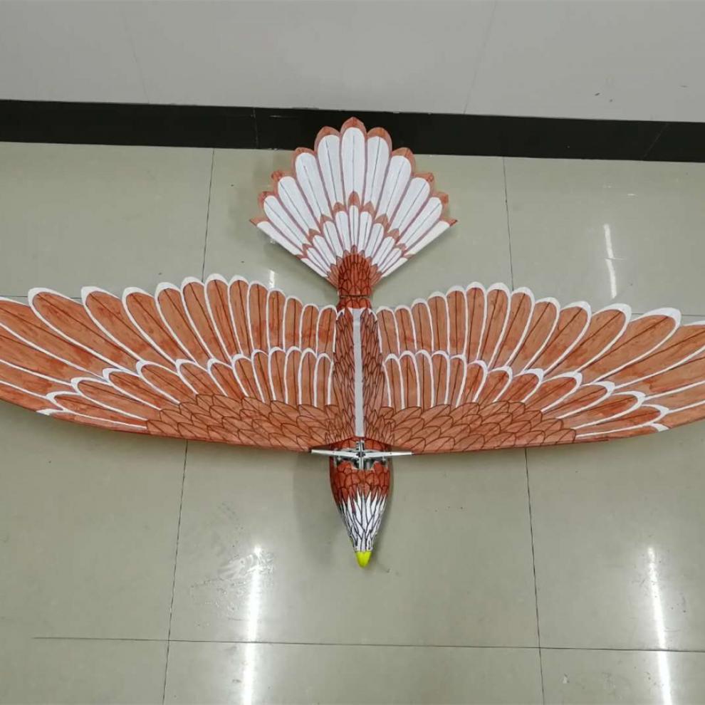 4米遥控老鹰pnp【图片 价格 品牌 报价】-京东