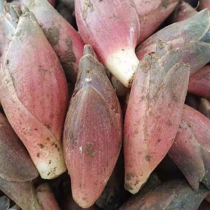 贵州野生洋荷姜新鲜蔬菜现摘现发阳霍姜蘘荷洋合笋茗荷阳合 2斤冷链