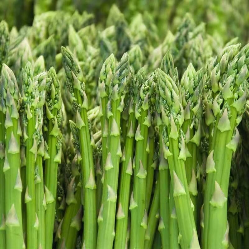 现采现发新鲜细芦笋蔬菜绿芦笋去除老根嫩笋春笋龙须菜细笋2斤细笋