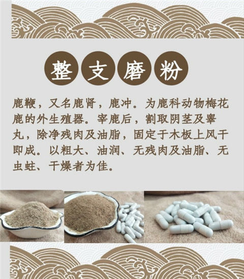 吉林鹿鞭粉整支磨粉鹿茸山参粉无原料出自自家鹿场鹿鞭粉250克