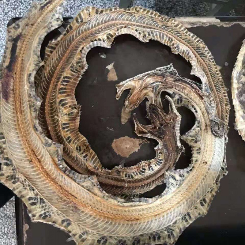 蕲蛇中药材白花蛇100克尖吻蛇腹蛇新货整条蕲蛇支持验货50g 【整条】