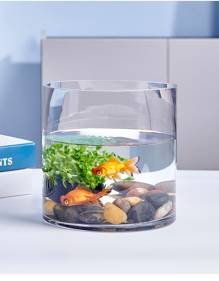 创意客厅金鱼缸玻璃水族箱小型生态圆形圆柱大号乌龟缸造景培装饰 20*