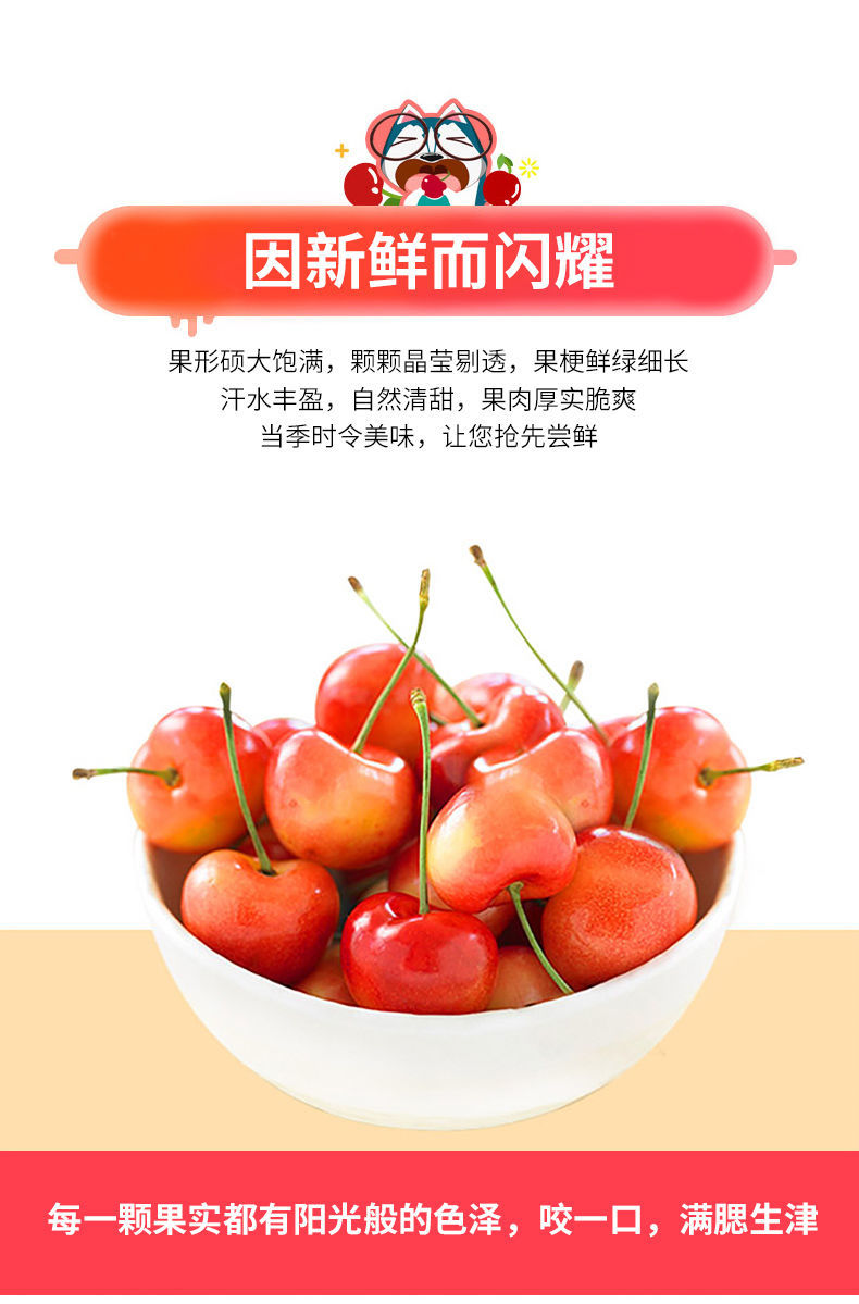现货现发 智利新鲜进口特大果当季水果大樱桃雷尼尔黄金车厘子 5斤